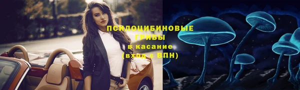 2c-b Беломорск