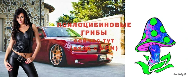 2c-b Беломорск