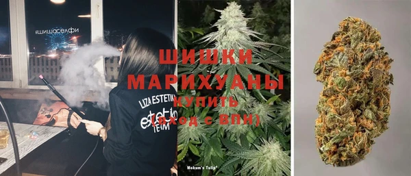 сатива Белокуриха